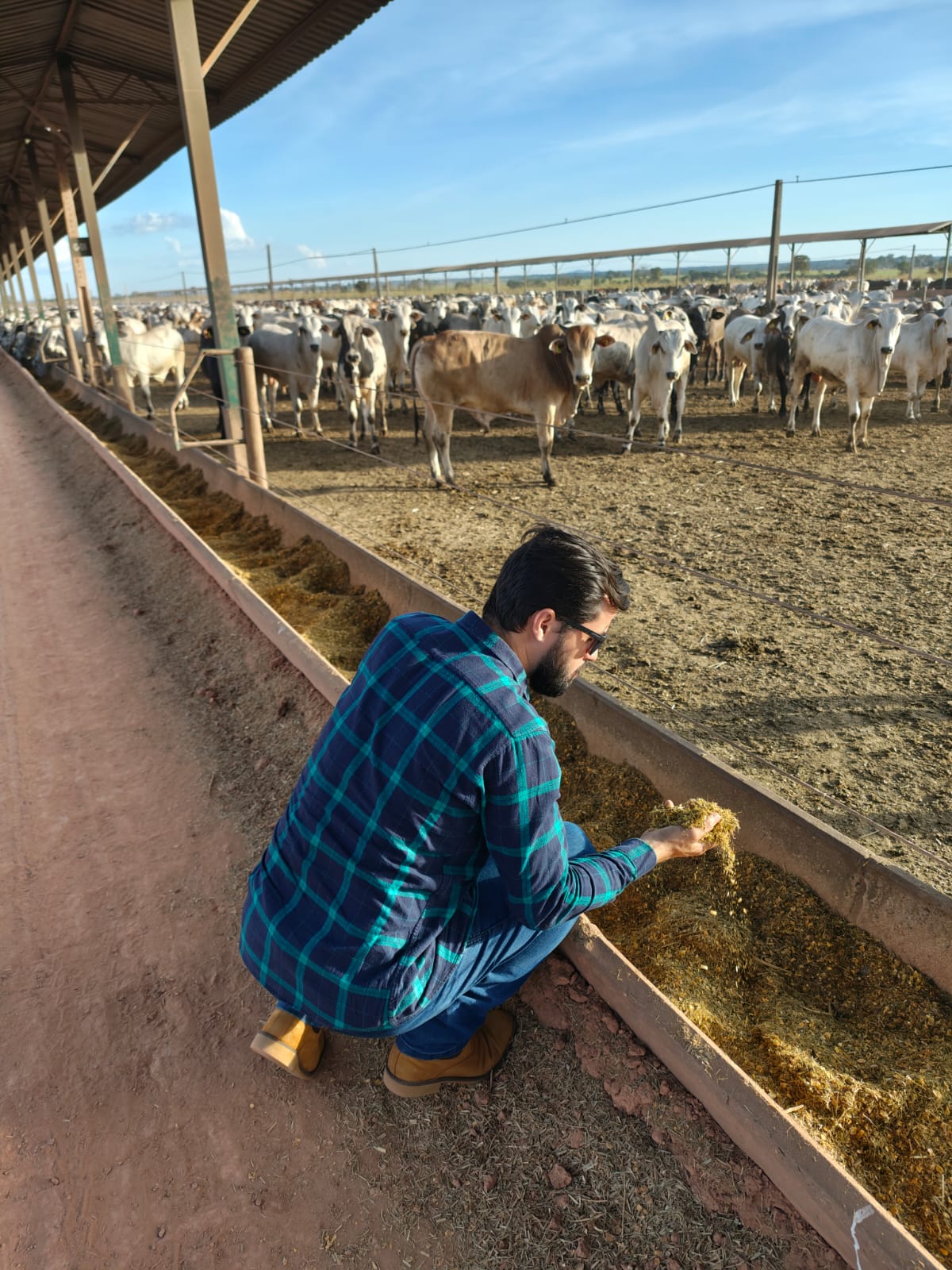 WhatsApp Image 2025-12-31 at 02.18.19 (1).jpeg